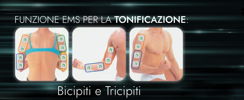 Slide3 3,  bicipiti e tricipiti