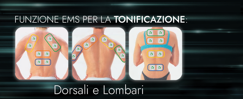 Slide3 4, dorsali e lombari