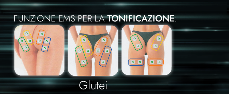 Slide3 5, glutei