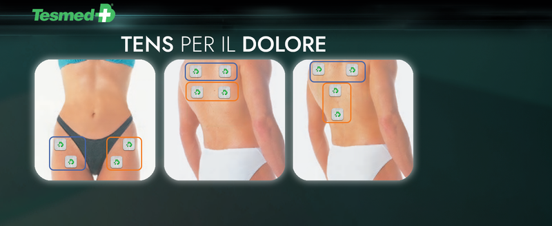 Slide4 3, zona dorsale